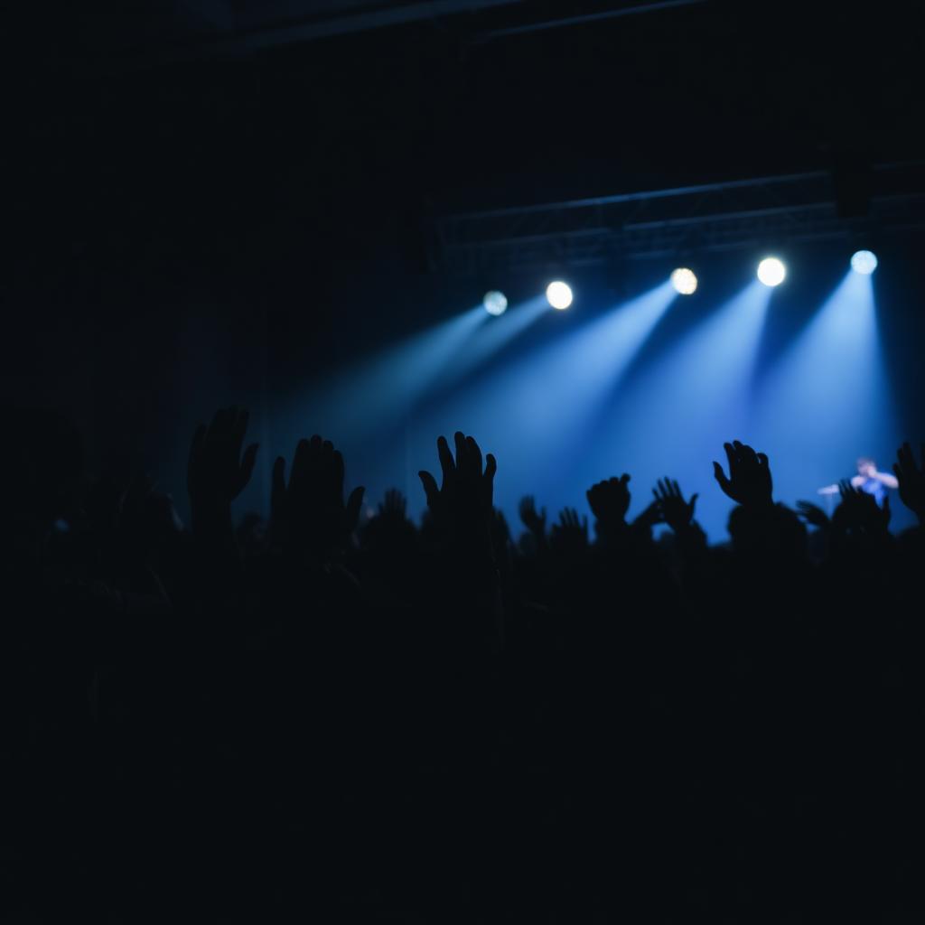 Público em show ao vivo